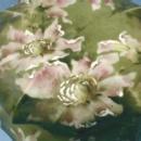 Wavecrest Nakara ~ Large Hexagon Covered Box - Antique Victorian Art Glass of CF Monroe