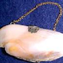 Victorian Mother of Pearl Purse - Misc. Collectibles