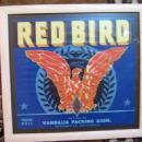 RED BIRD Antique Advertising Box Label California