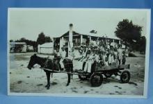 old vintage Horse Drawn Wagon of Black Children LEWIS PLANTATION Brooksville Florida - RPPC - Paper postcard