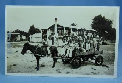 old vintage Horse Drawn Wagon of Black Children LEWIS PLANTATION Brooksville Florida - RPPC - Paper postcard