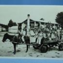 old vintage Horse Drawn Wagon of Black Children LEWIS PLANTATION Brooksville Florida - RPPC - Paper postcard