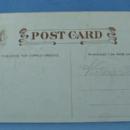 JOYFUL THANKSGIVING Turkey & Pilgrim Child Postcard - 1910 paper
