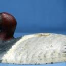 old Capt Harry Jobes CANVASBACK Duck Decoy Paperweight - Signed Sporting Metalware - Hunt