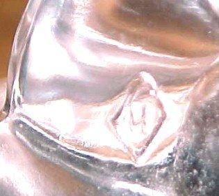 Heisey Mallard Marked WINGS UP - Glass