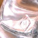 Heisey Mallard Marked WINGS UP - Glass