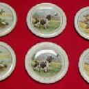 DUCK Pheasant Bird Dog Butter Patty Set (6) - Porcelain/ Fine China