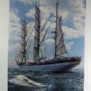 Nautical TALL SHIPS Print Portfolio Collection - Vintage Sailing Boat Arrangement - FAL