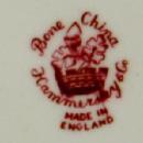 Hammersley Cup & Saucer Pottery AWESOME Rich Color English Porcelain