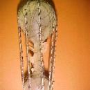 Wire Wrap AIR BALLOON Angel Christmas Figural - Glass