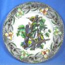 Limited edition Birds of American PILEATED WOODPECKER - Hand Painted Porcelain Plate