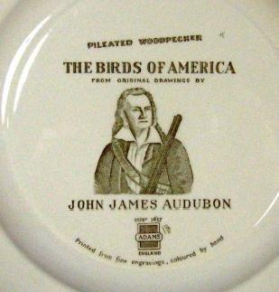 Limited edition Birds of American PILEATED WOODPECKER - Hand Painted Porcelain Plate