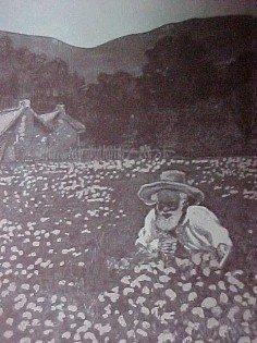 OLD BLACK JOE Sheet Music - Black Paper