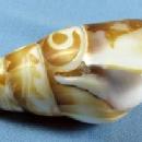 Conch Carved Sea Shell PISCES Horoscope Paperweight
