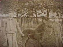 Photo: Pony and Two Young Boys - Paper