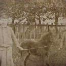 Photo: Pony and Two Young Boys - Paper