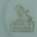 German Porcelain LUSTRE Luster DEMI Cup & Saucer Group