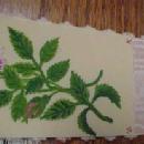 Celluloid Book Mark - Miscellaneous