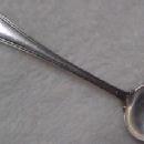 Sterling MASTER Salt Spoon Sheffield - Silver
