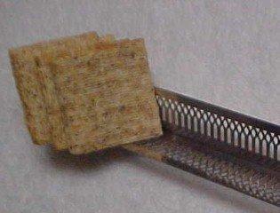 Webster Sterling Cracker Server - Silver