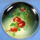 German Hutschenreuther Gelb Hand Painted APPLE Porcelain Plate
