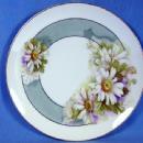 German Hutschenreuther Gelb Hand Painted APPLE Porcelain Plate