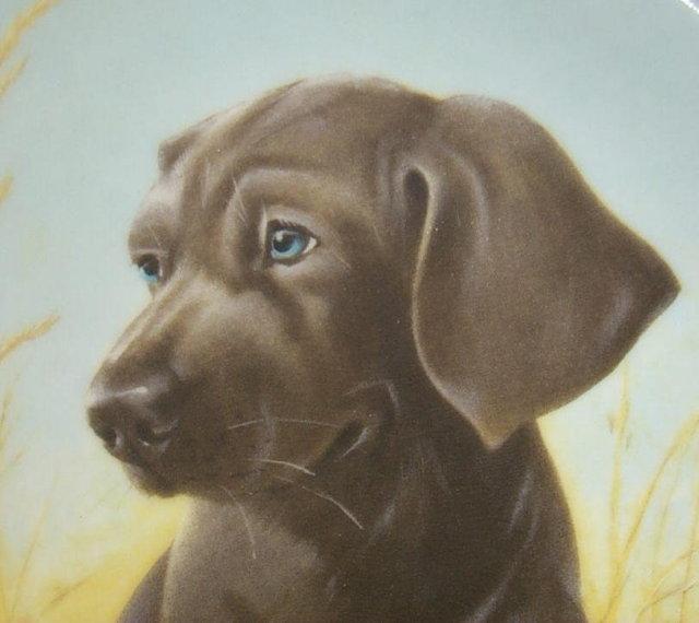 Knowles FINE FEATHERED FRIENDS - ENGLISH SETTER Porcelain Plate