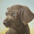 Knowles FINE FEATHERED FRIENDS - ENGLISH SETTER Porcelain Plate