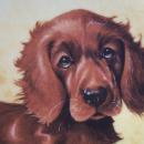 Knowles COMMAND PERFORMANCE - WEIMARANER Porcelain Plate