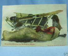 Prospector Camping in ALASKA RPPC Nowell Color Postcard