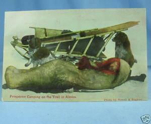 Prospector Camping in ALASKA RPPC Nowell Color Postcard