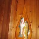 Fish DECOY on CANOE PADDLE by Carl Christensen - Michigan Master Wood Decoy Carver