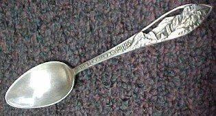 Garden of the Gods Sterling Tea Spoon - Silver