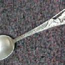 Garden of the Gods Sterling Tea Spoon - Silver