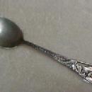 Garden of the Gods Sterling Tea Spoon - Silver