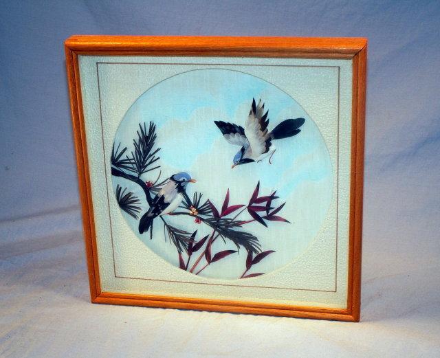 Framed FEATHER Bird Picture - Misc.