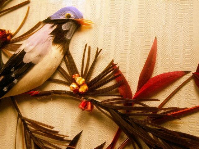 Framed FEATHER Bird Picture - Misc.