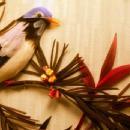 Framed FEATHER Bird Picture - Misc.
