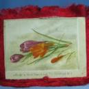 Vintage Fringed Christmas Card