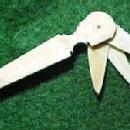 Ivory Toothpick with Multipal Picks - Collectibles