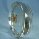 BUTTERFLY Paperweight - Vintage Viking Glass