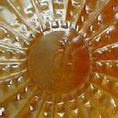 Imperial Carnival Grape Pitcher Creamer Sugar Set - Glass
