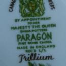 Paragon TRILLIUM Porcelain Cup & Saucer Set