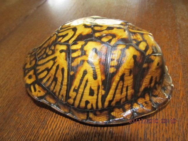 Hat Stand Figural - Sewing
