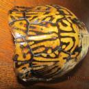 Turtle Shell from taxidermy