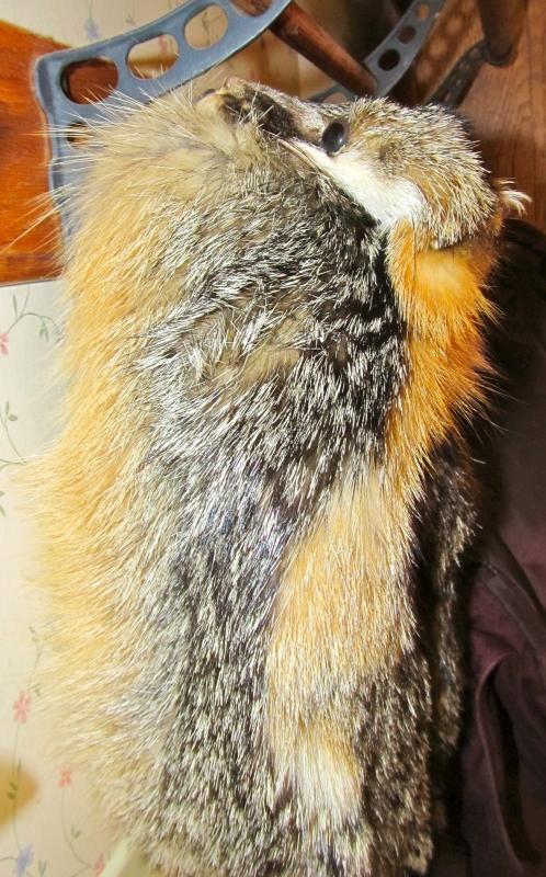 Gray Fox Fur Hat Man's Large - Sporting