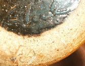 Plum Tree Pottery Kitchen Shaker