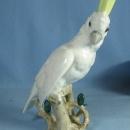 Wien PARROT Bird Figurine - Antique Augarten Porcelain