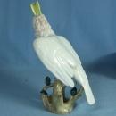 Wien PARROT Bird Figurine - Antique Augarten Porcelain
