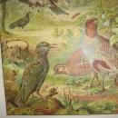 Color Lithograph BIRD BIRDS Collage - Antique Art fal